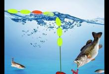 传统七星漂钓法入门两大技巧