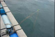 小筏竿有新玩法