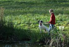 老师傅钓鱼总结的四个要点，说出了他经常爆护的秘密