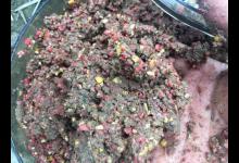 野钓不打窝技巧，也能钓得多