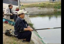 分享一下我的长竿短线传统钓经验