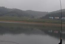 野钓很好用的包食钓法，介绍与运用技巧