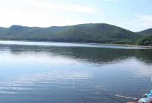 夜光漂对鱼儿开口有没有影响？跟着高手来了解