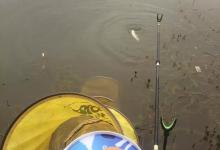 如何抛竿？抛竿的标准动作和钓鲢鳙的抛竿技巧