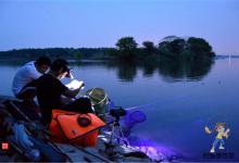 野钓平水跑铅固然好，但是这几个技巧不能少