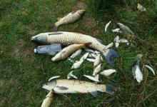 野钓中鱼率不高，没注意到这四个细节