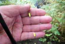 长江流域的老人常用七星漂是什么原理？如何钓