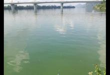 立秋野钓，窝点鱼星四起，为什么鱼儿不咬钩？