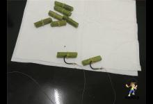 这几个方法刺鱼好易吞咽，比网上挂颗粒的标准教程实用