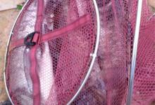 手竿钓大鲢鳙的技巧