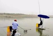 野钓没大鱼怎么办，学会下面这些小技巧即可