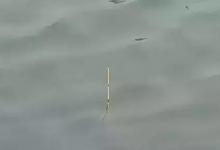 底钓时该抓哪些信号