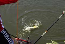 野钓饵料的准备和浮漂到底怎样调钓最合适？