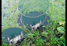 传统钓常见的钓点