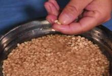 户外野钓，在小鱼堆中钓获大物的五种新型钓法