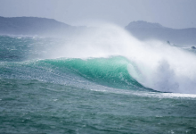 刮风天抛竿钓的实用技巧