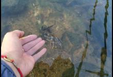 夏转秋，野钓要如何调整？改变观念很重要