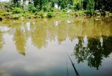 钓滑口鱼技巧分享给你，新手钓友看过来