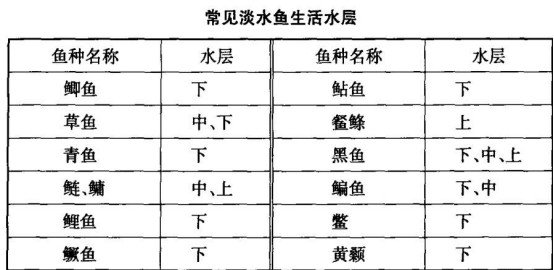 鱼层与水深分布图图片