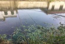 实用春钓钓草攻略，什么样的草怎么钓？