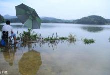 传统钓法快速入门