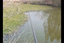 冬季传统逗钓鲫鱼技巧分享