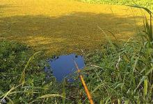 传统钓七星漂的常规用法与特殊技巧