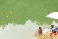 5个钓鲫小技巧，鲫鱼上钩一条接一条