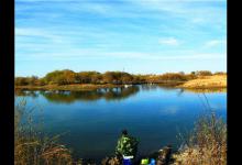 秋季野钓小秘诀，熟悉起来好钓鱼