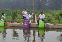 扬竿刺鱼追求稳准狠，实操之前这些注意事项要先看下