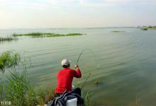 野钓三大技巧，助你提升中鱼率