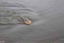 台钓没口怎么办？你得学会这些逗鱼技巧