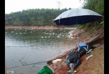 小动作蕴含着大道理，逗鱼可不是抖几下杆子就叫逗鱼