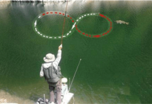 使用手竿时应该学习的几个技巧