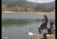 野钓怎么选择钓位？习性不同钓位选择也不同