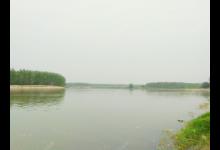 野钓：手竿流水钓浮和盲竿钓流水