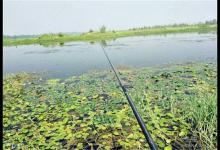 冬季传统钓七星漂的使用技巧