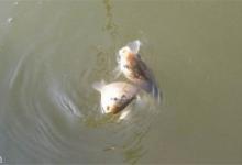 缺乏野钓知识怎么办？3个技巧让你避免空军