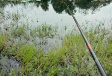 冬天怎么用传统钓钓鲫鱼？五个关键很重要