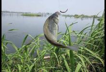 如何防止野钓挂底？3个技巧