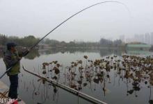 传统钓法的两个精髓：走钓、逗钓