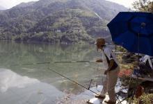 野钓不上鱼？先刺激鱼口再调漂