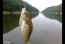 野钓碰上刮风该如何处置？