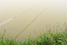 传统钓长竿短线野钓鲫鱼技巧