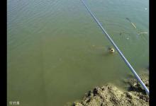 野钓调漂套路深，牢记3种调钓方法