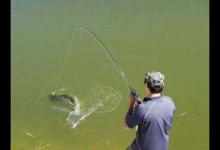 抛竿钓最常用5技巧，老钓手分享