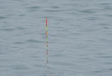 冬季野钓，要通过浮漂信号来调整调钓方法