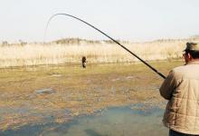 传统钓法钓草洞的钓位选择及逗钓技巧