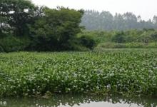 什么环境和情况适合浮钓？