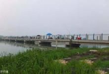 常用的4种逗钓的方法